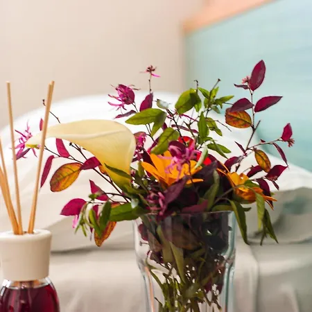 Bed & Breakfast Zeno Cinquale